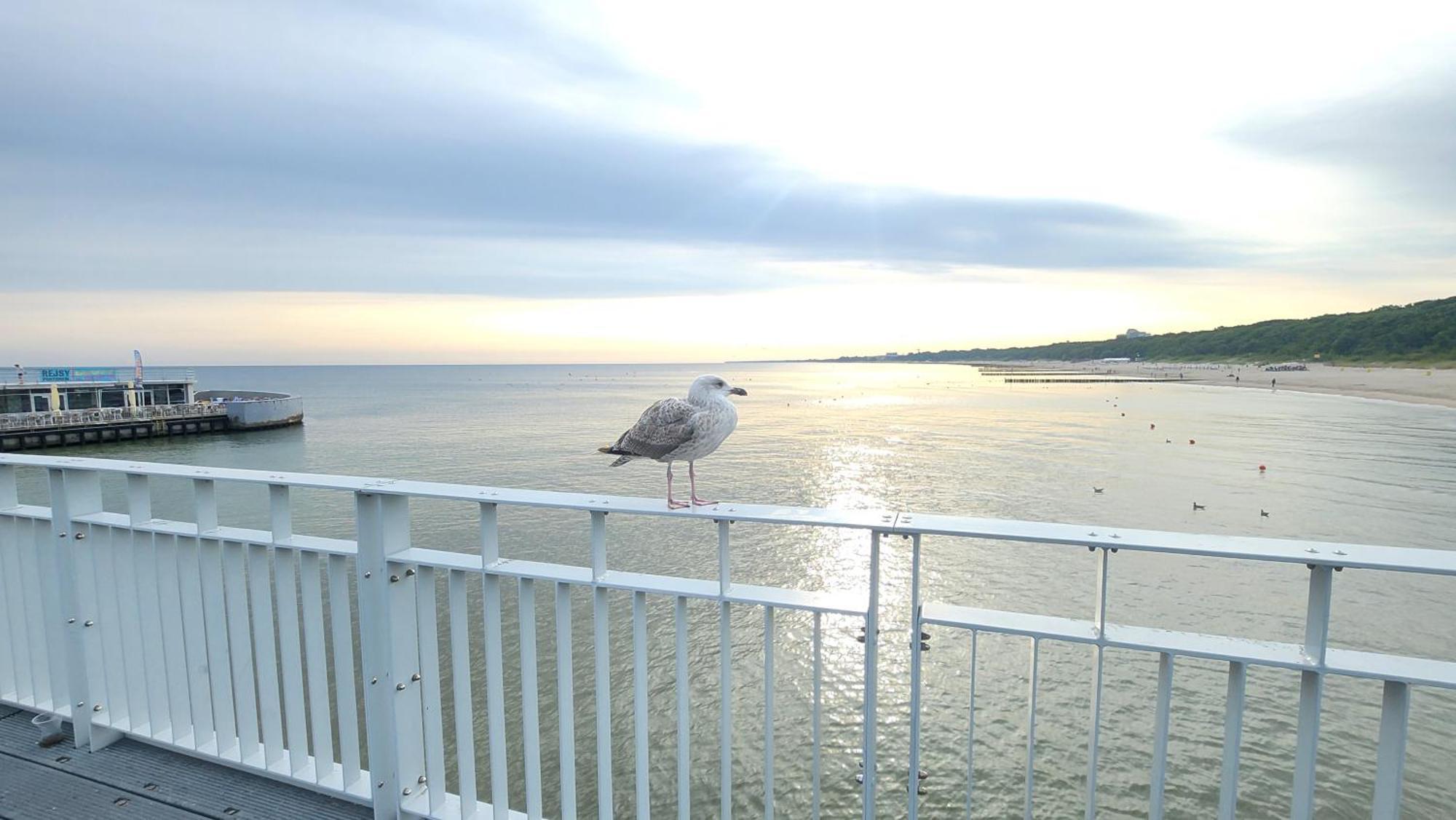 Balticsky Loft Premium, Apartament K O L O B R Z E G Basen,Jacuzzi,Sauna,Silownia Apartment